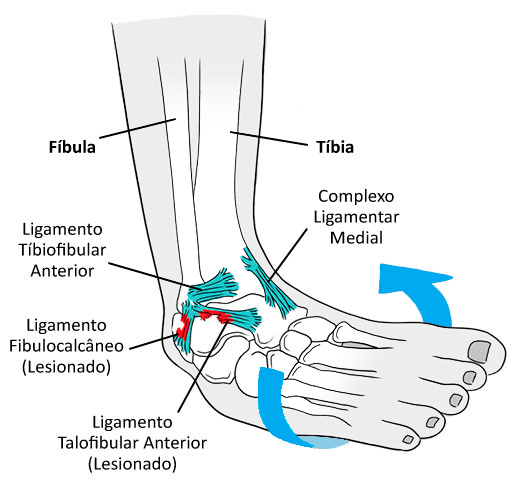 Pé - Anatomia Óssea Quiz